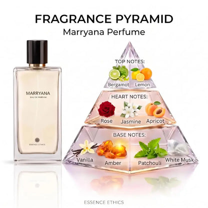 Essence Ethics Marryana Perfume - Fragrance Pyramid