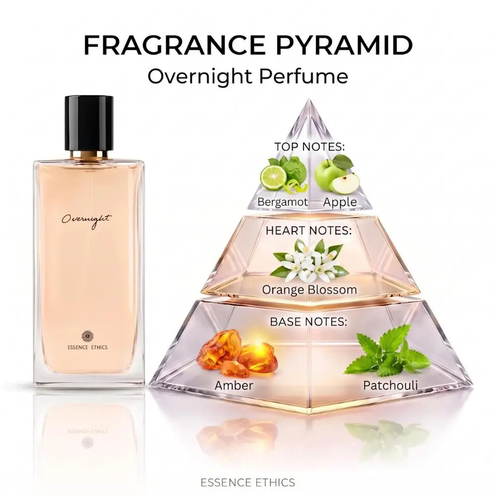 Overnight Perfume - Fragrance Pyramid